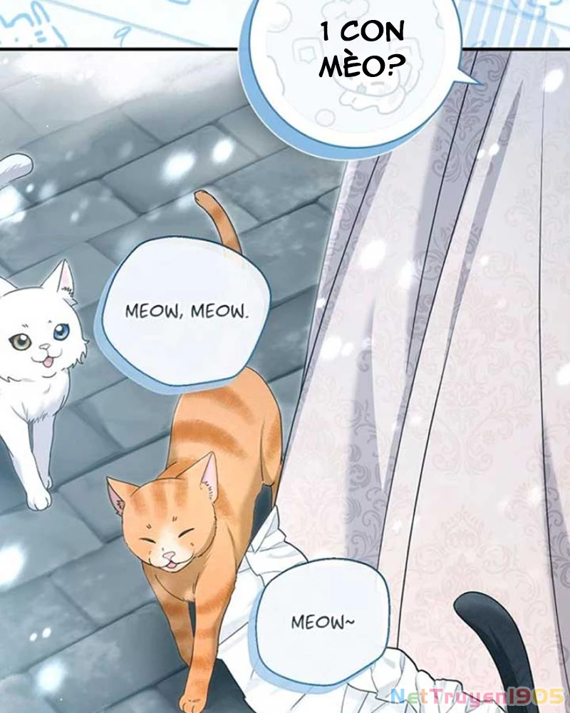 Không Phải Con Trai Mà Là Cha Chapter 19 - 60