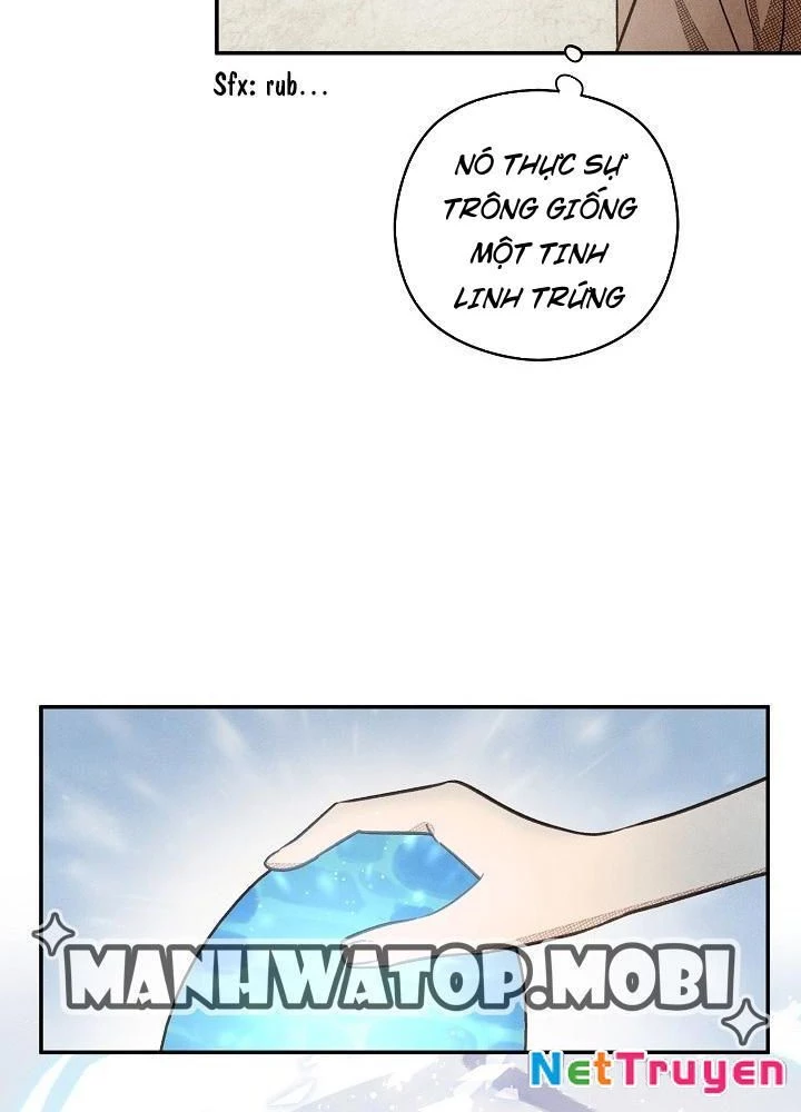 Nhật Ký Thuần Hóa Của Linh Sư Cấp S Chapter 2 - 11