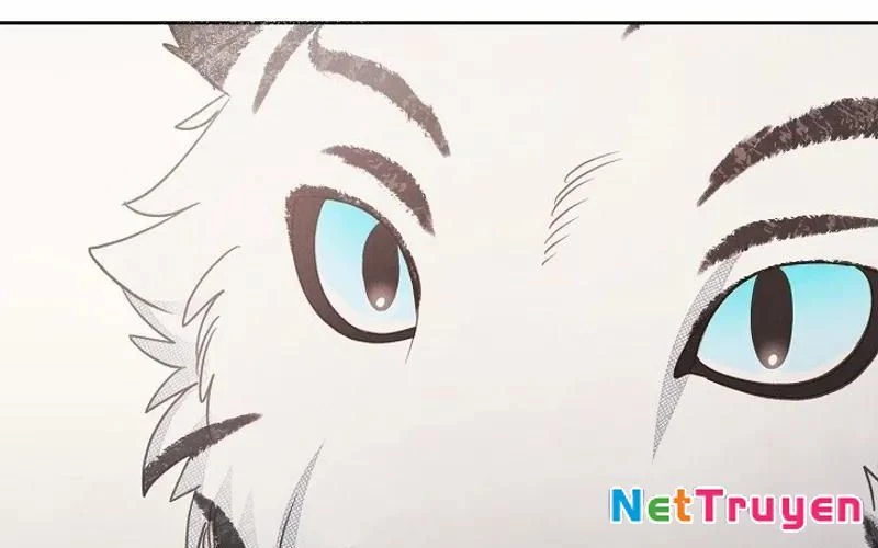 Nhật Ký Thuần Hóa Của Linh Sư Cấp S Chapter 10 - 81