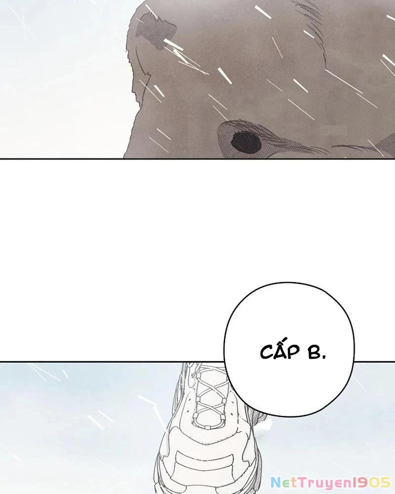 Nhật Ký Thuần Hóa Của Linh Sư Cấp S Chapter 15 - 3