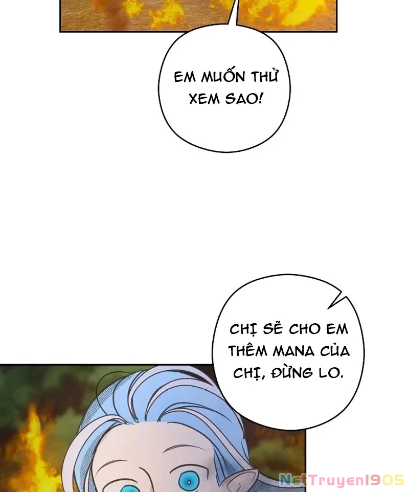 Nhật Ký Thuần Hóa Của Linh Sư Cấp S Chapter 19 - 24