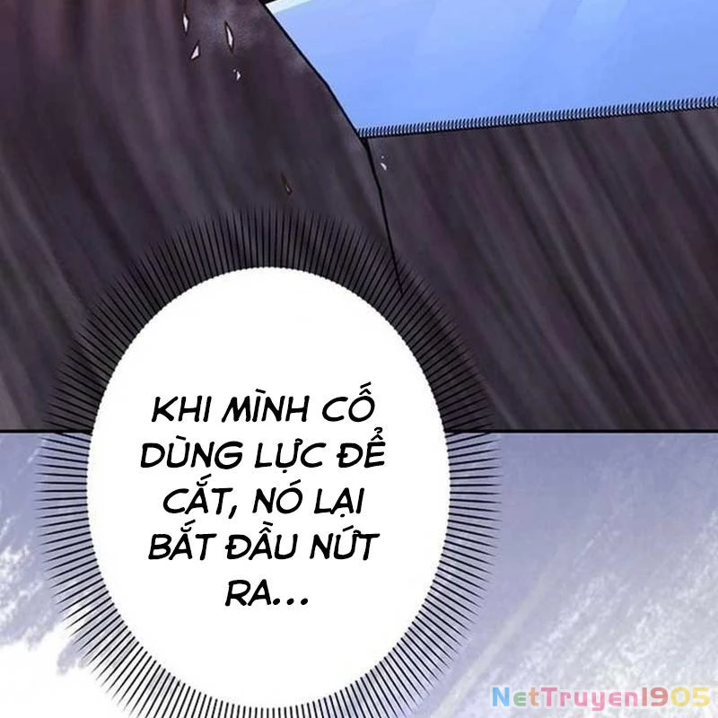 Sự tái sinh của nhà thiết kế tài ba Chapter 11 - 112