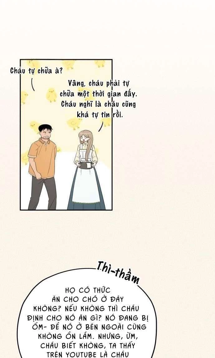 Trận Đấu Đồng Đội Của Những Tài Xế Xe Tải Chapter 18 - 21