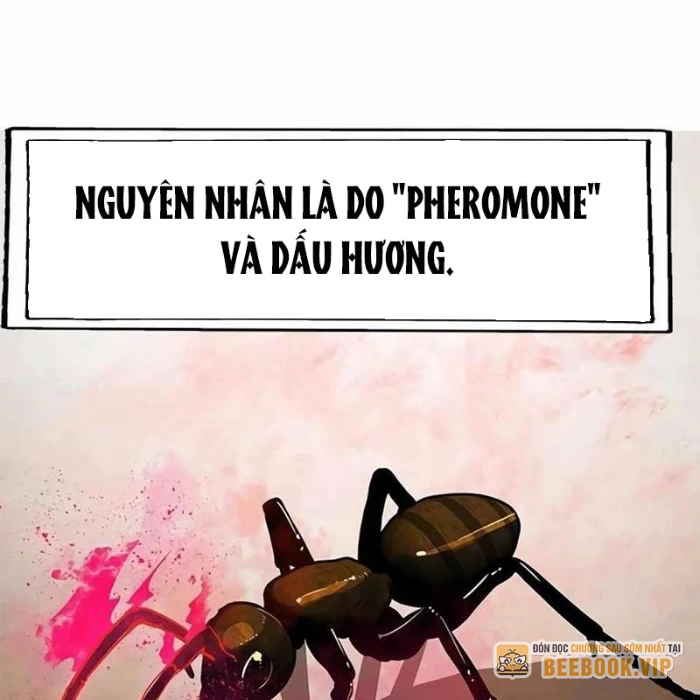 Tôi Chỉ Là Người Khuân Vác Trong Hầm Ngục Chapter 22 - 78