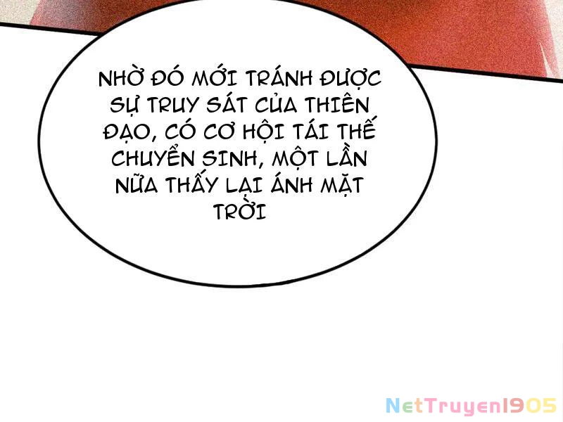 Đệ Tử Tu Luyện Còn Ta Thì Lười Biếng Chapter 194 - 58