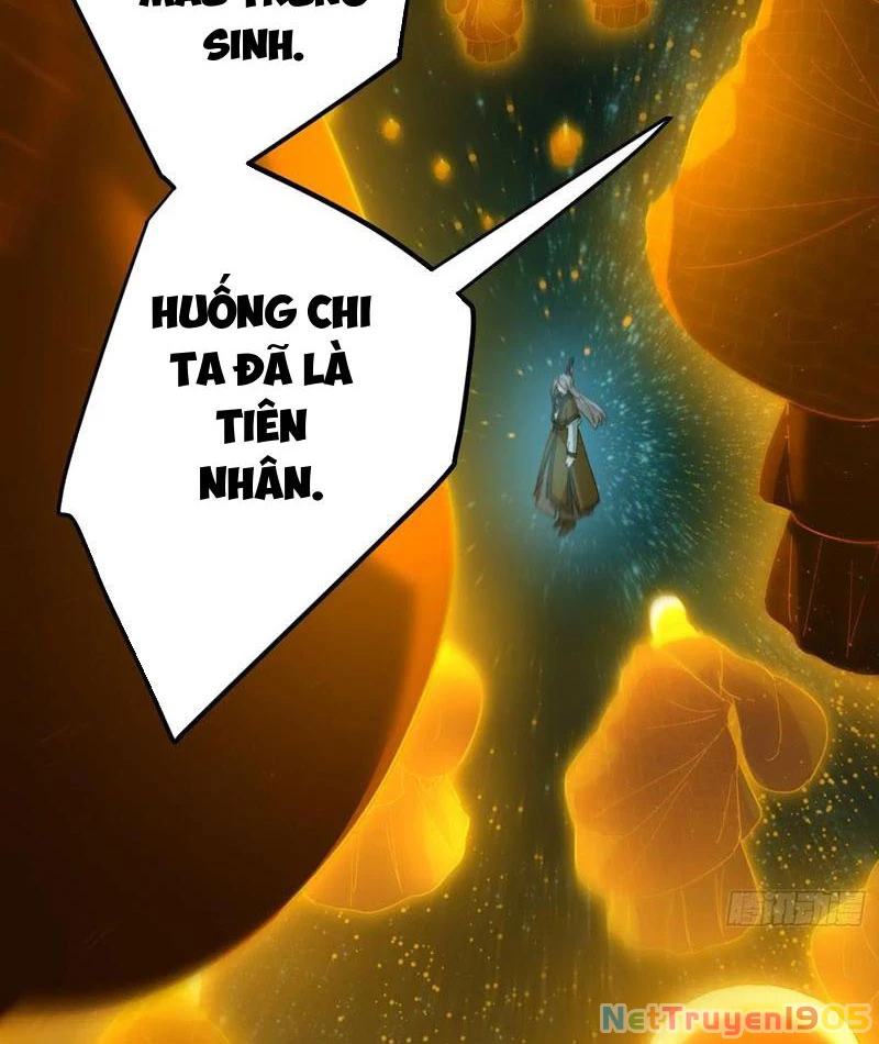 Đại Thừa Kỳ Mới Có Nghịch Tập Hệ Thống Chapter 70 - 19