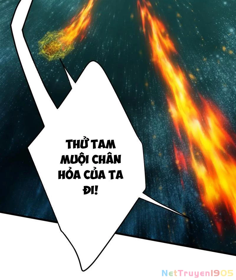 Đại Thừa Kỳ Mới Có Nghịch Tập Hệ Thống Chapter 70 - 48