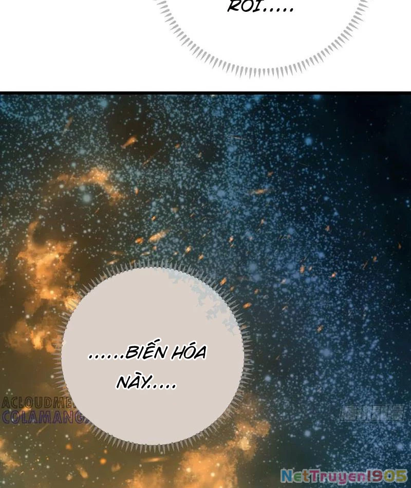 Đại Thừa Kỳ Mới Có Nghịch Tập Hệ Thống Chapter 70 - 135