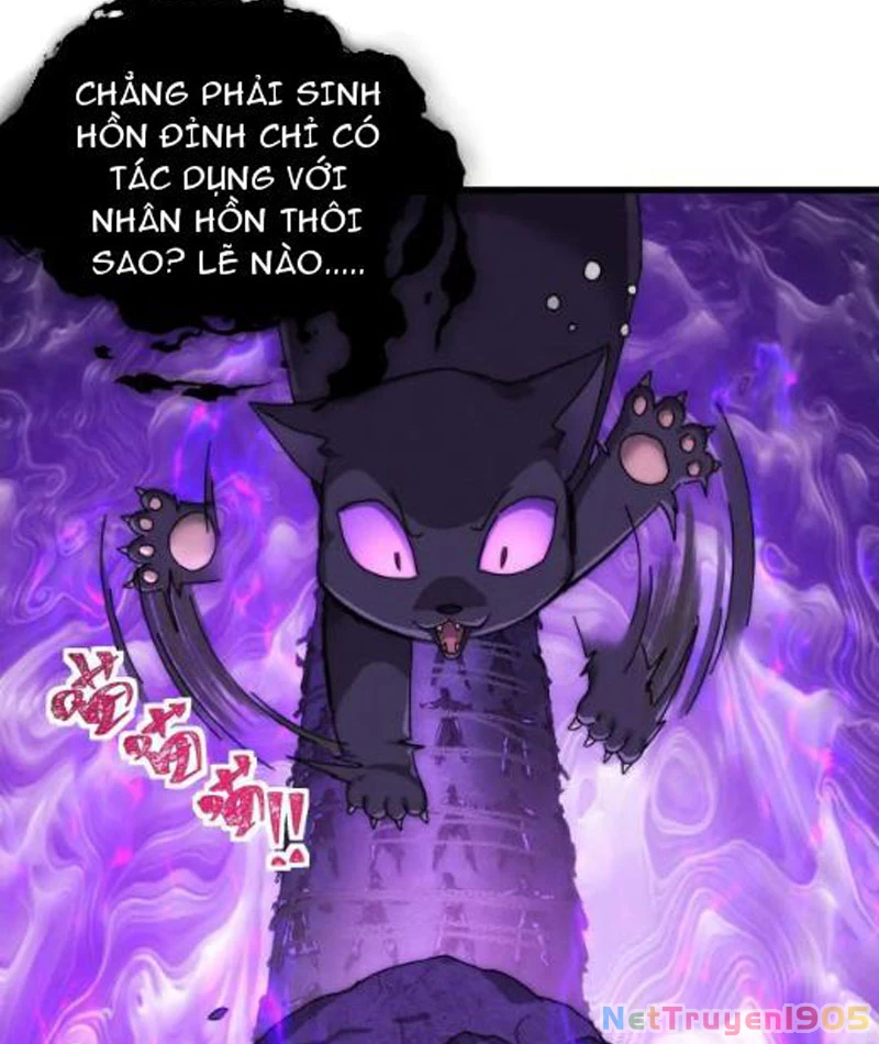 Ta dựa vào tu tiên xưng bá tận thế Chapter 14 - 8