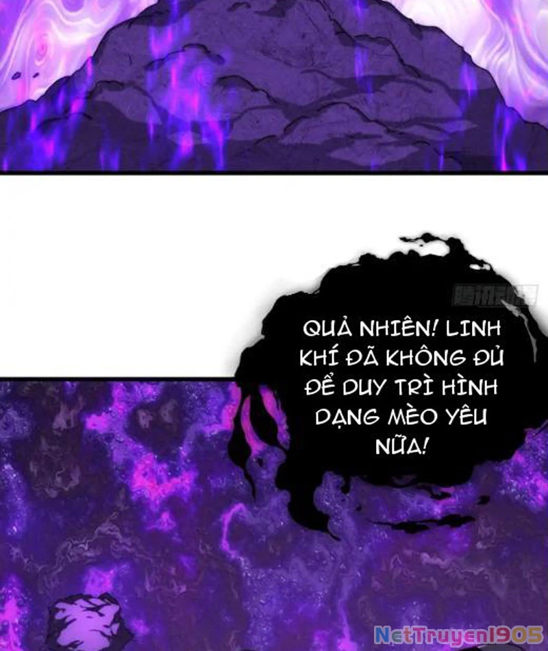 Ta dựa vào tu tiên xưng bá tận thế Chapter 14 - 9