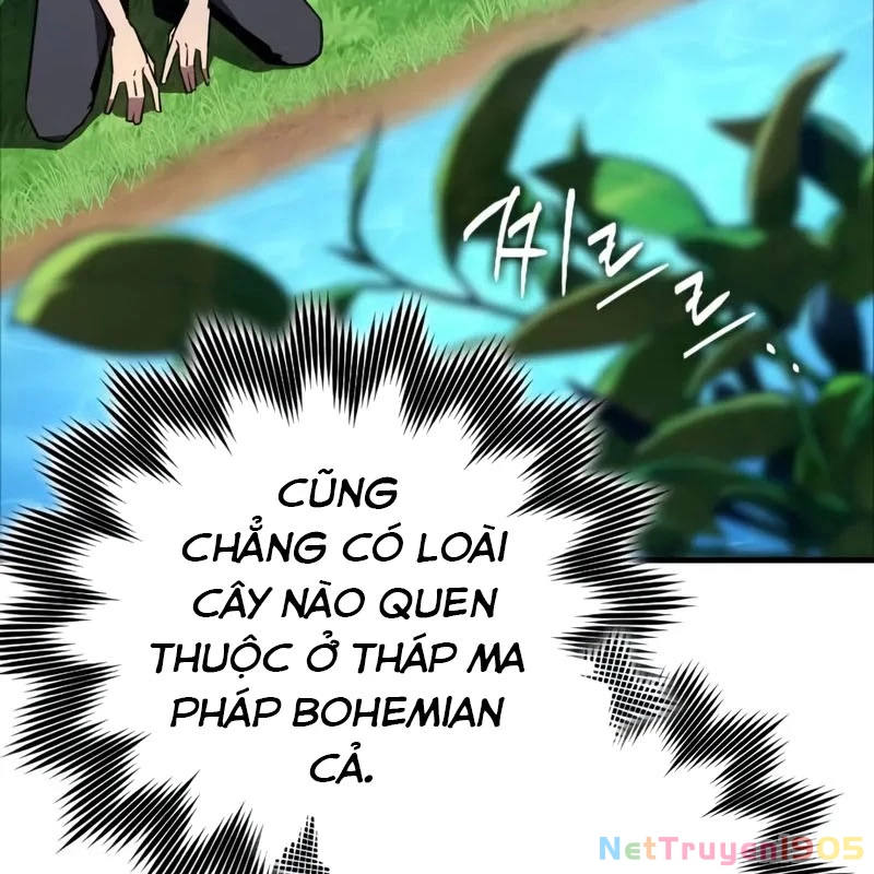 Pháp Sư Thiên Tài Phá Vỡ Giới Hạn Chapter 3 - 115