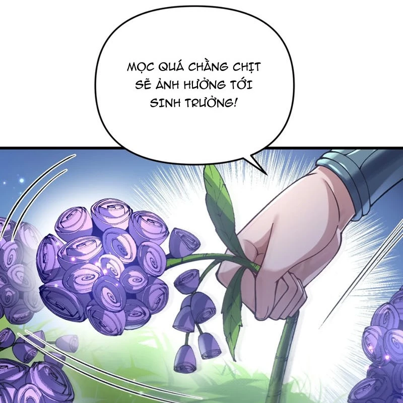 Bắt Đầu Tu Chân Từ Việc Trồng Ra Nữ Đế Yêu Tộc Chapter 1 - 155