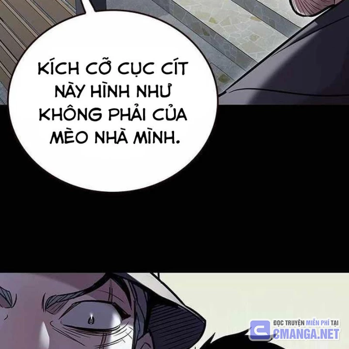 Hoá Thân Thành Mèo Chapter 356 - 56