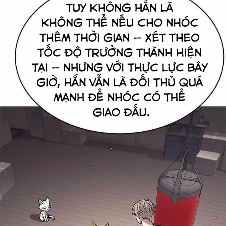 Hoá Thân Thành Mèo Chapter 356 - 198