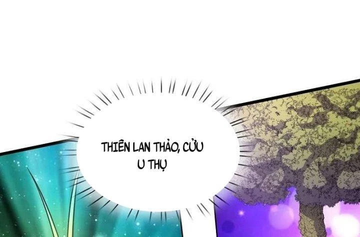Đô Thị Chi Nghịch Thiên Tiên Tôn Chapter 382 - 49