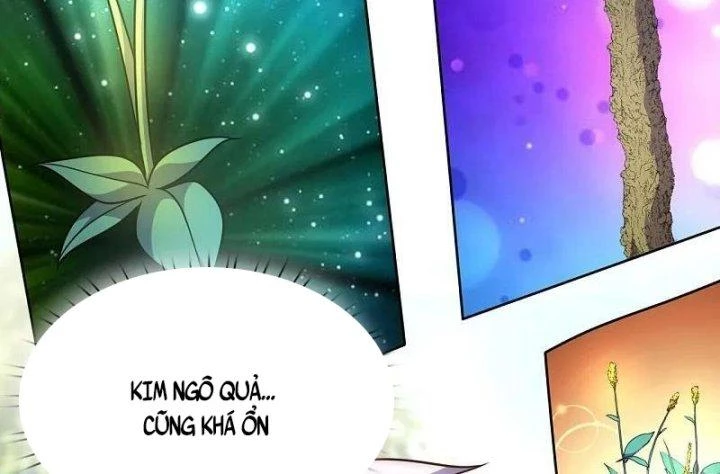 Đô Thị Chi Nghịch Thiên Tiên Tôn Chapter 382 - 50