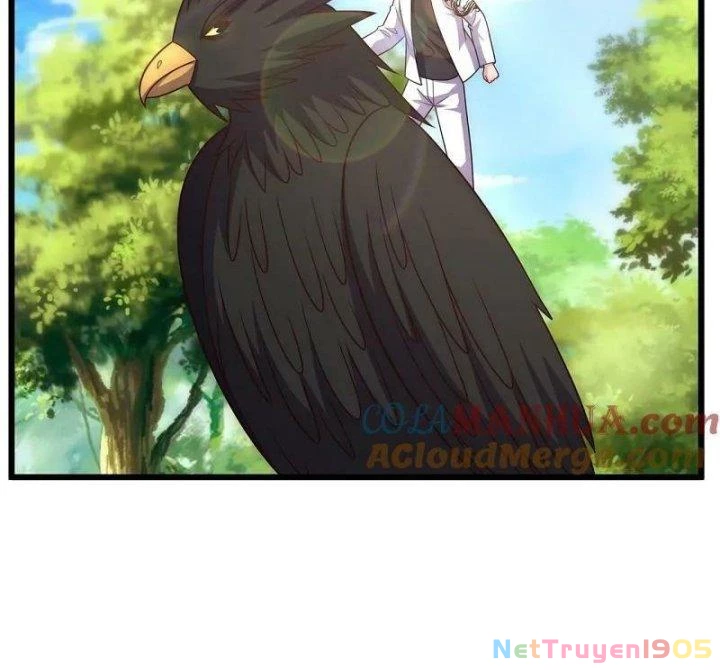 Đô Thị Chi Nghịch Thiên Tiên Tôn Chapter 382 - 56