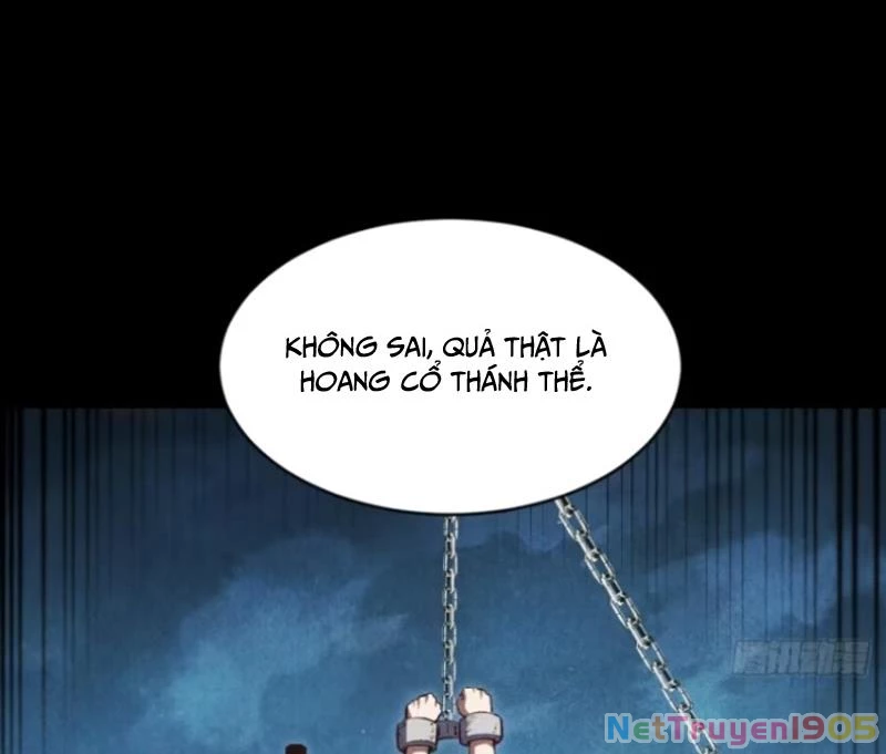 Bắt Đầu Đánh Dấu Hoang Cổ Thánh Thể Chapter 107 - 15