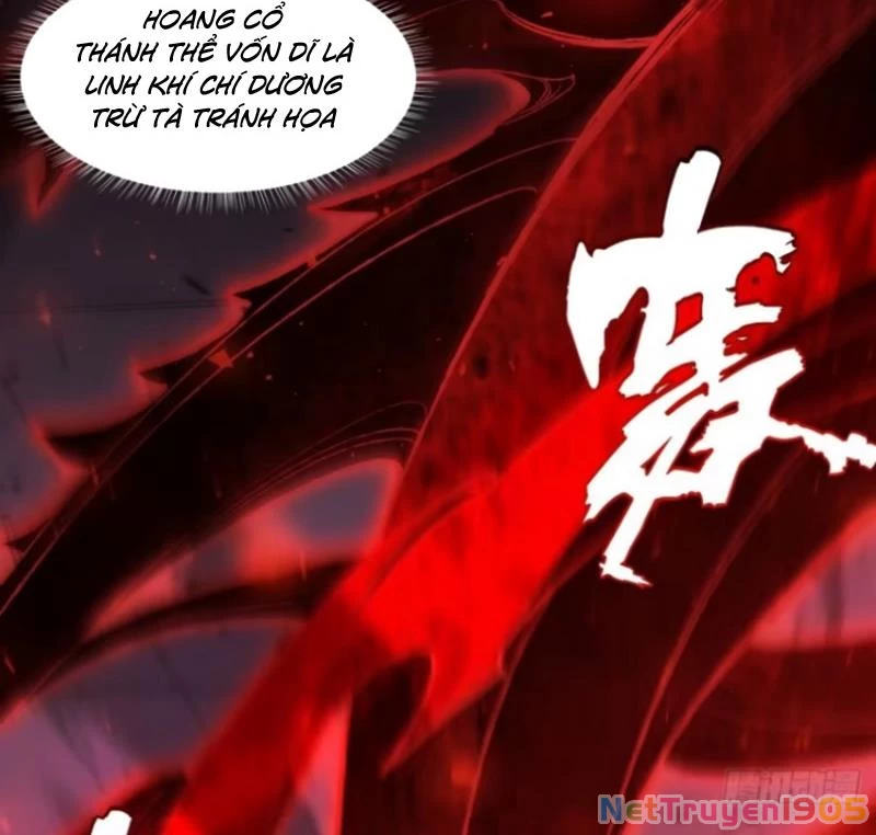 Bắt Đầu Đánh Dấu Hoang Cổ Thánh Thể Chapter 107 - 67