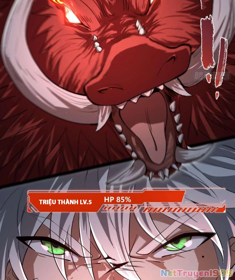 Thành Thần Tại Tận Thế Chapter 11 - 24