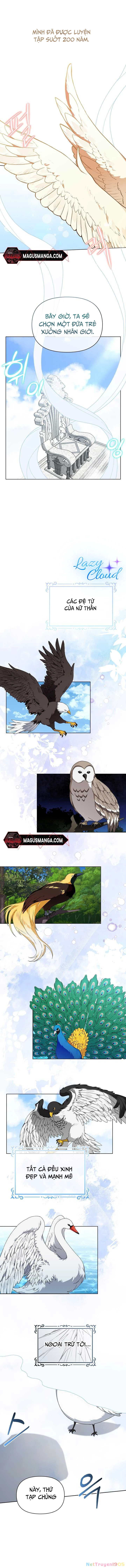 Tân Hoàng Hậu Chapter 2 - 2