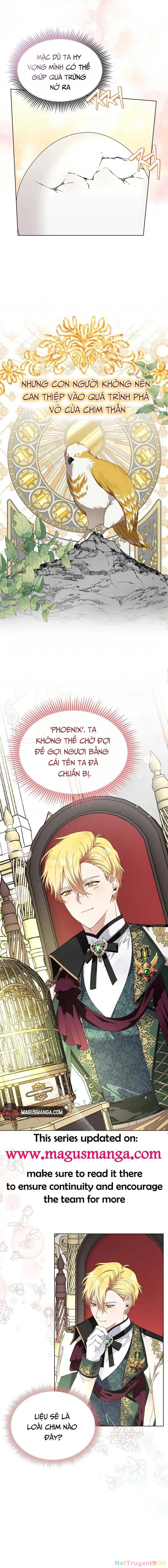 Tân Hoàng Hậu Chapter 5 - 5