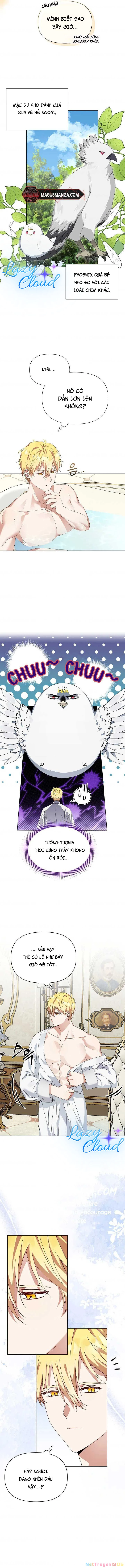 Tân Hoàng Hậu Chapter 6 - 6