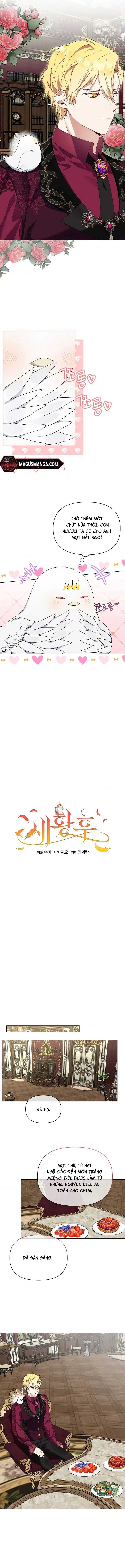 Tân Hoàng Hậu Chapter 7 - 7