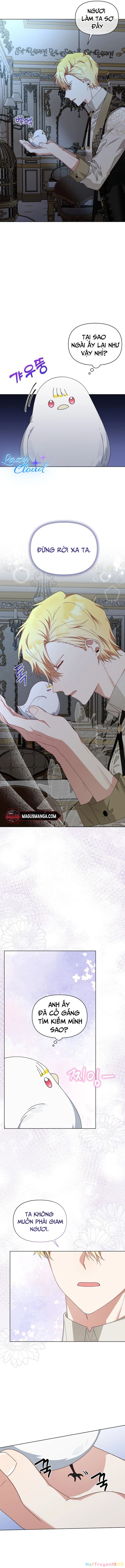 Tân Hoàng Hậu Chapter 11 - 10