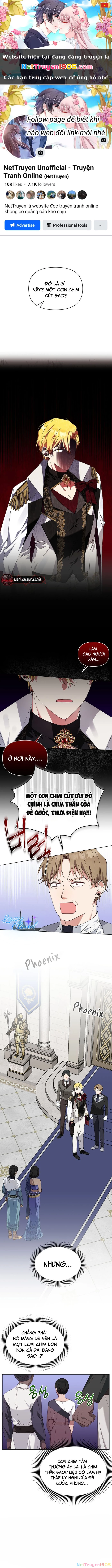 Tân Hoàng Hậu Chapter 14 - 1