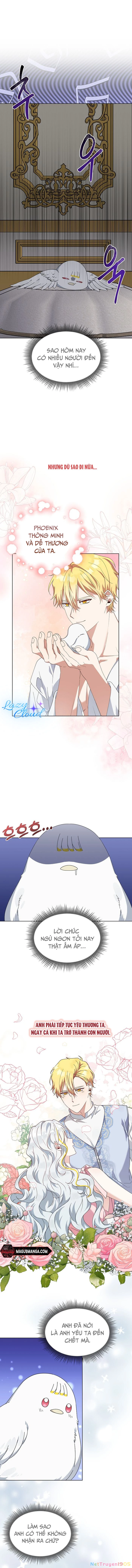 Tân Hoàng Hậu Chapter 14 - 5