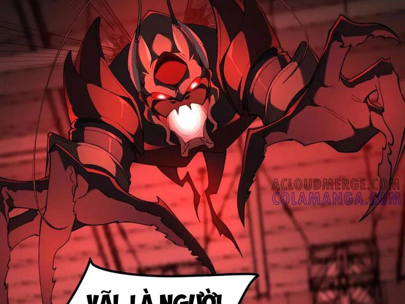 Tai Ách Cấp Mục Sư Chapter 49 - 103
