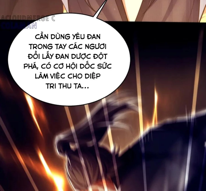 Các Nữ Sư Tôn Đều Muốn Chiếm Hữu Ta Chapter 23 - 14