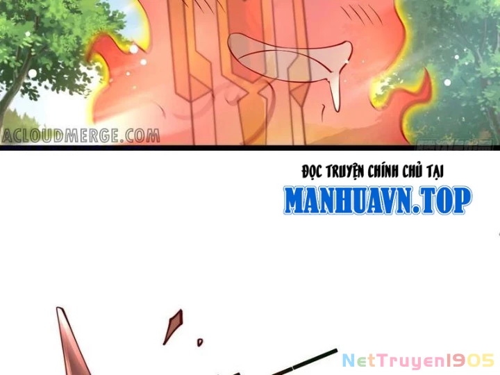 Tinh Thú Sư Mạnh Nhất Chapter 15 - 61