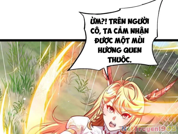 Tinh Thú Sư Mạnh Nhất Chapter 15 - 65