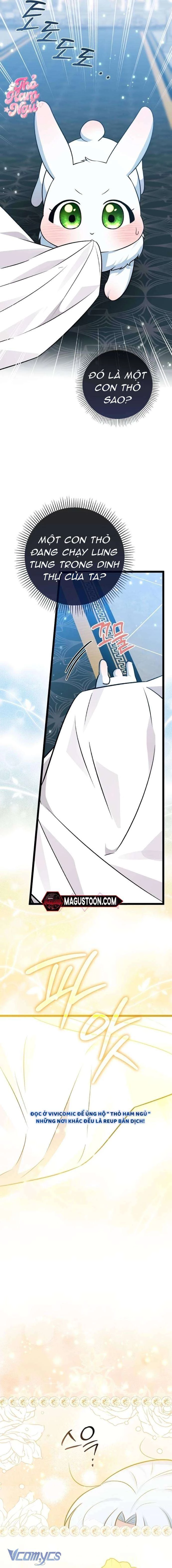 Thỏ Á? Rõ Ràng Là Mãnh Thú Cơ Mà! Chapter 18 - 23