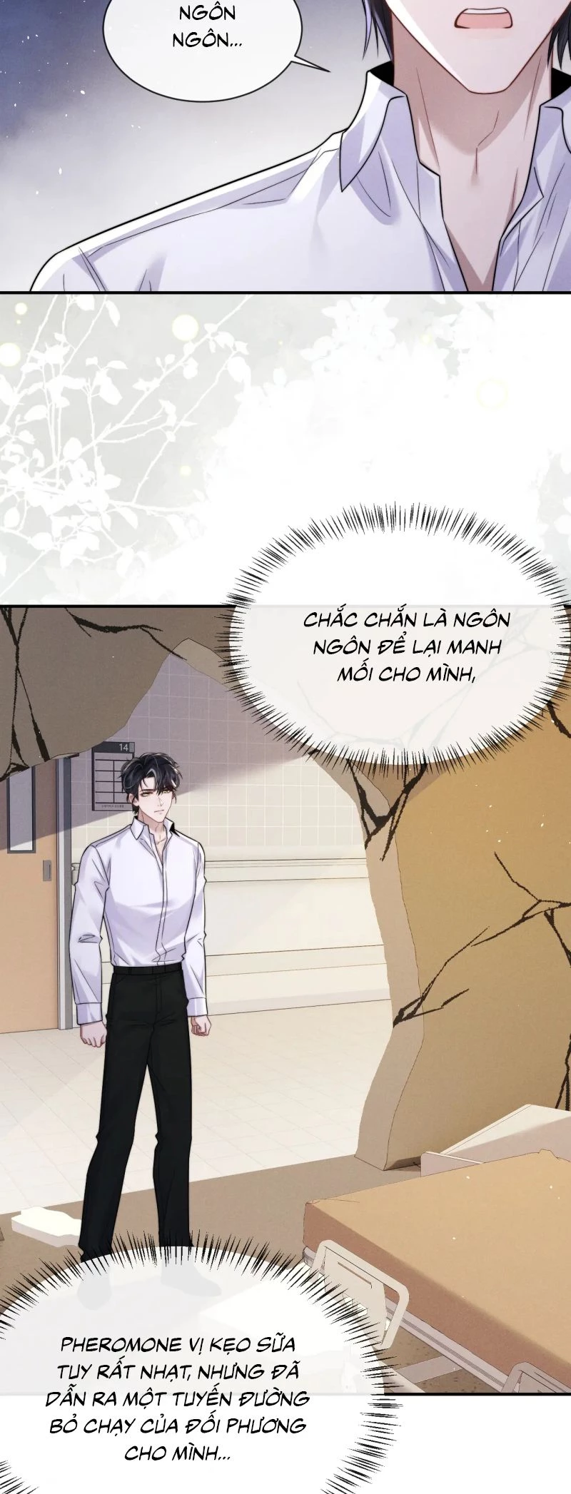 Chấp Sự Thỏ Cụp Tai Chapter 164 - 8