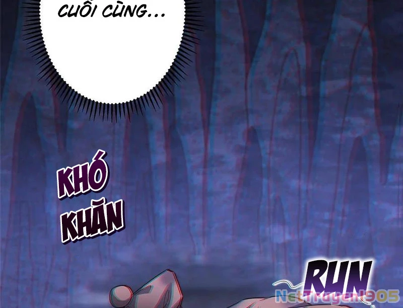 Chưởng Môn Khiêm Tốn Chút Chapter 520 - 5