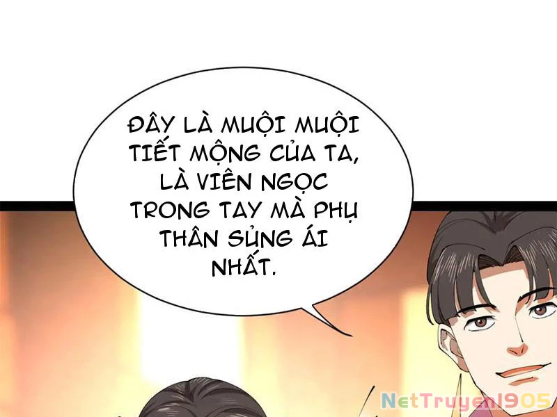 Chàng Rể Mạnh Nhất Lịch Sử Chapter 309 - 28
