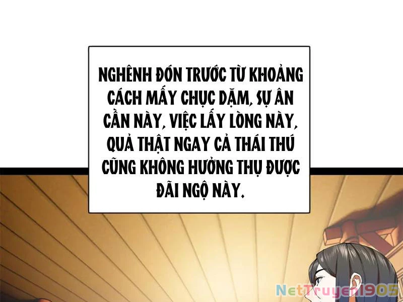 Chàng Rể Mạnh Nhất Lịch Sử Chapter 309 - 45