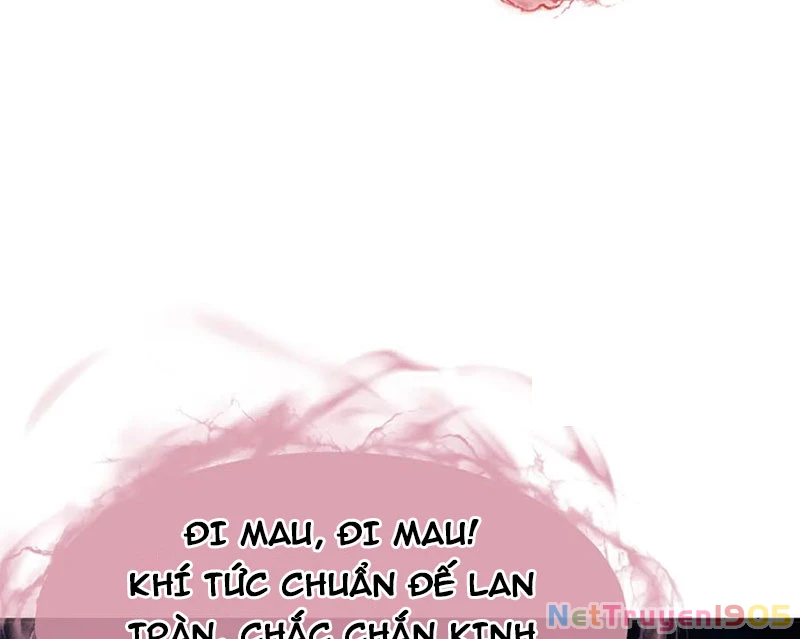 Sư Tôn: Nghịch Đồ Này Mới Không Phải Là Thánh Tử Chapter 136 - 102