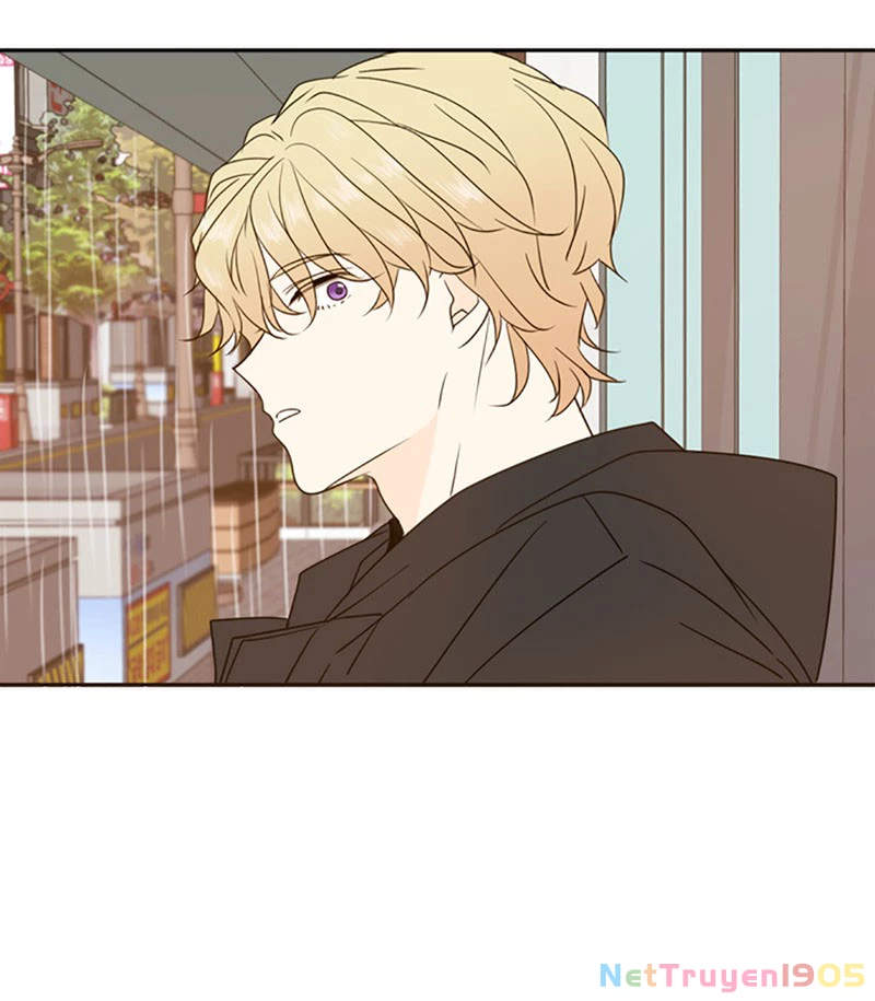 Hẹn Gặp Anh Ở Kiếp Thứ 19 Chapter 88 - 102