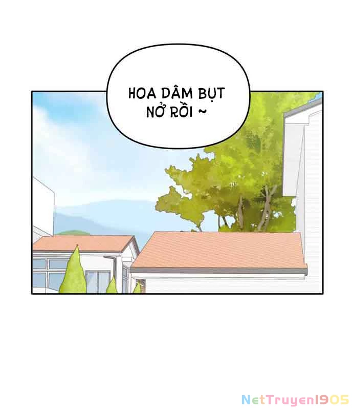 Hẹn Gặp Anh Ở Kiếp Thứ 19 Chapter 116 - 15