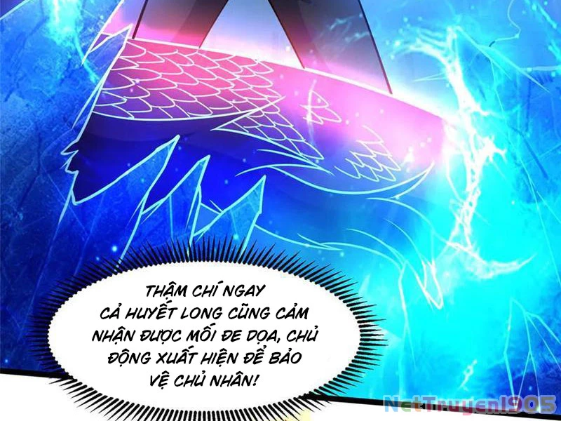 Đô Thị Cực Phẩm Y Thần Chapter 264 - 15