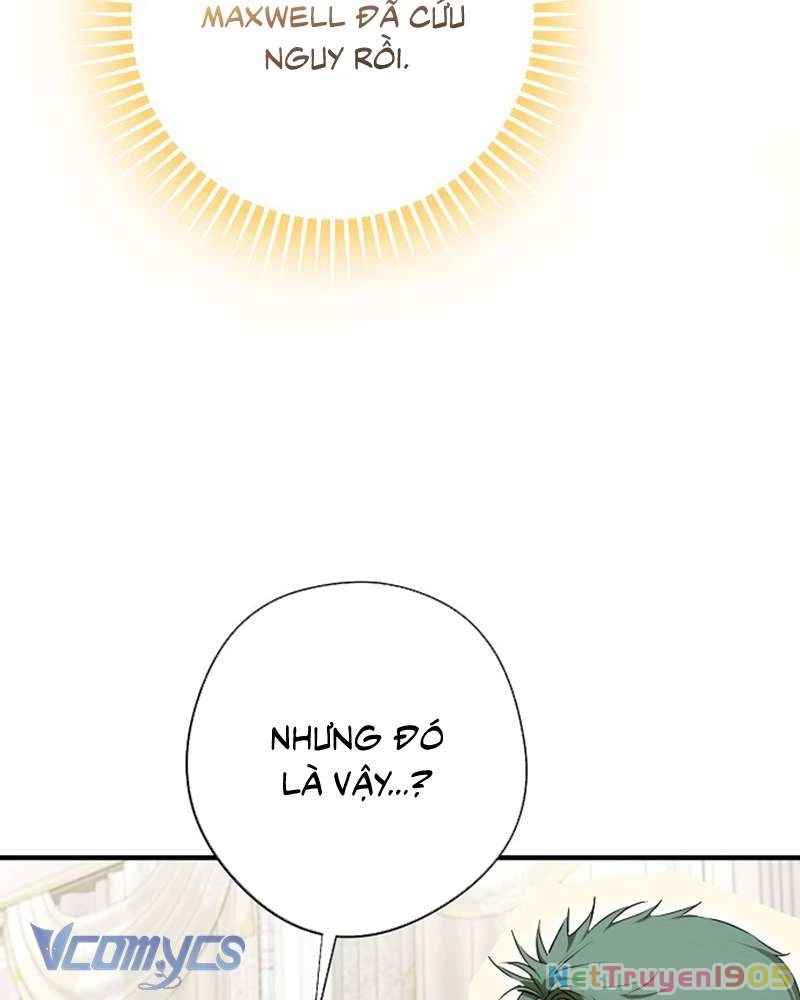 Các Nam Chính Đã Bị Nữ Phụ Cướp Mất Chapter 54 - 62