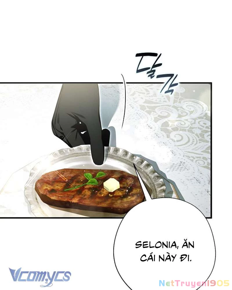 Các Nam Chính Đã Bị Nữ Phụ Cướp Mất Chapter 54 - 72