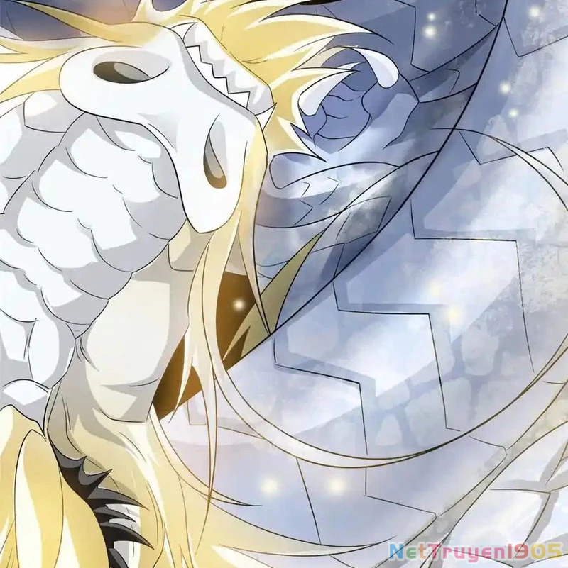Cường Giả Đến Từ Trại Tâm Thần Chapter 351 - 70