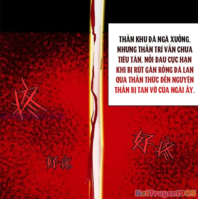 Cường Giả Đến Từ Trại Tâm Thần Chapter 351 - 100