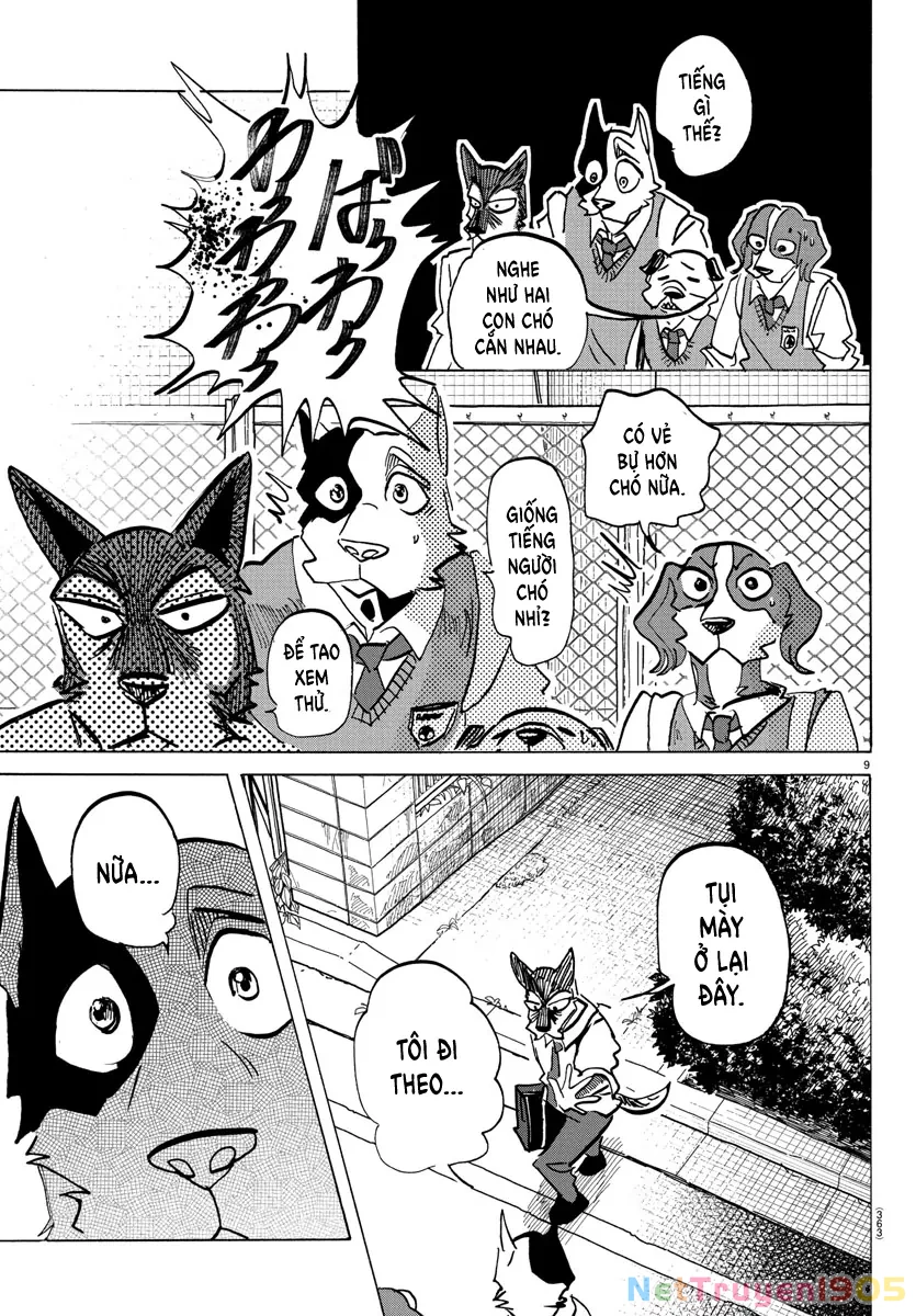 Lý Trí Của Taika Chapter 23 - 9