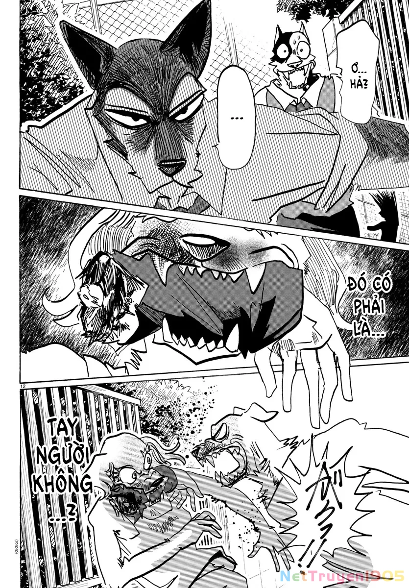 Lý Trí Của Taika Chapter 23 - 11